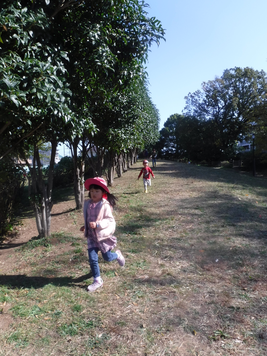 f:id:donkoro:20201111110313j:plain