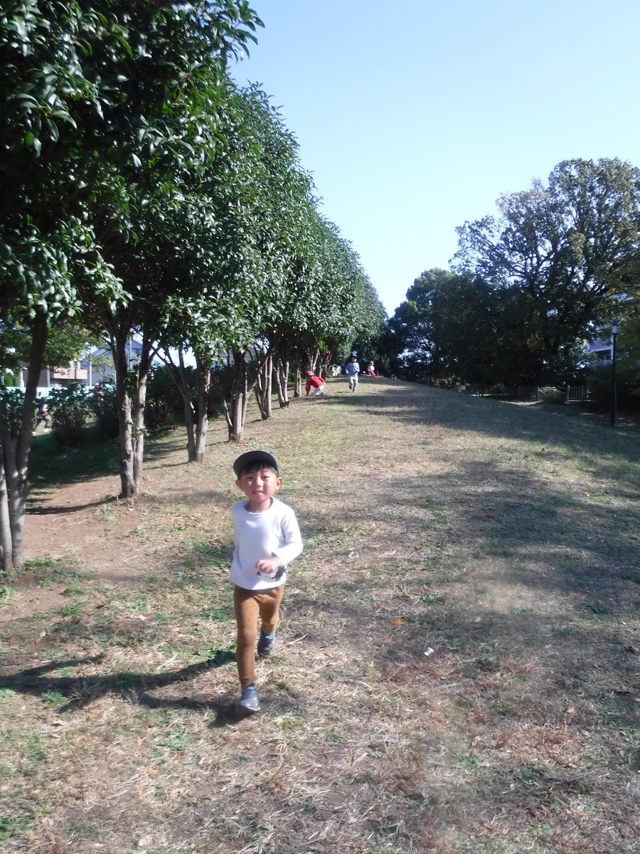 f:id:donkoro:20201111110436j:plain