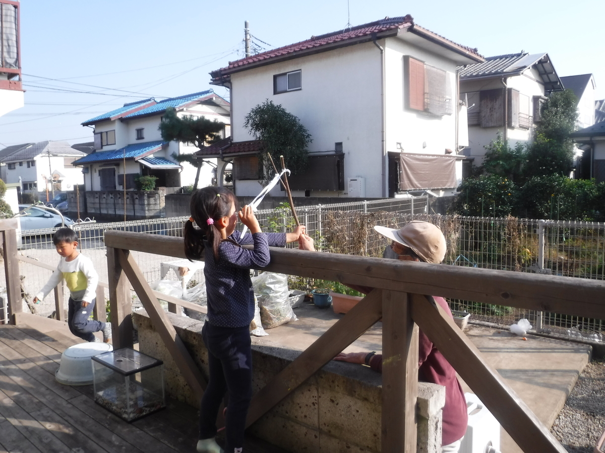 f:id:donkoro:20201118134439j:plain