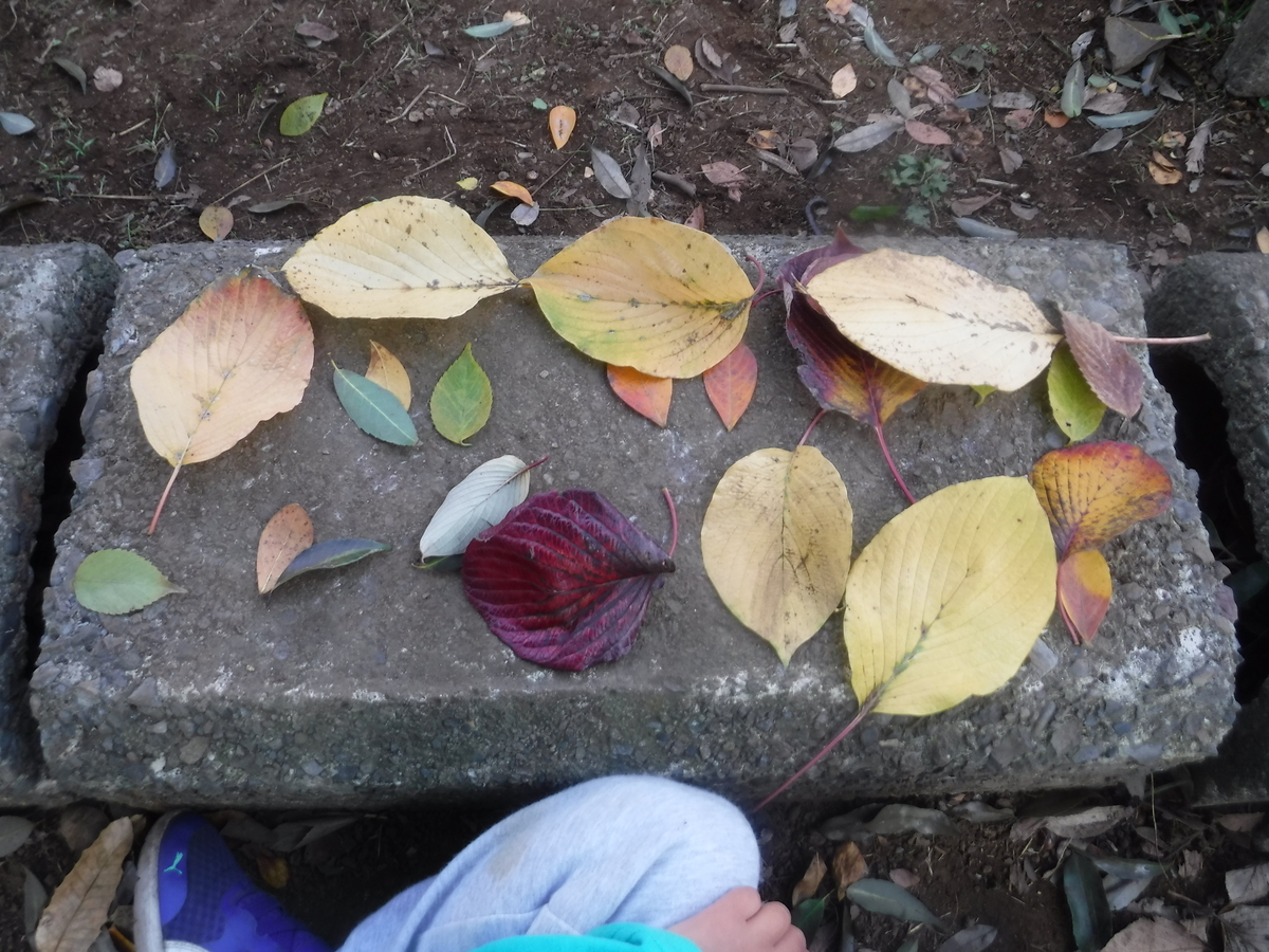 f:id:donkoro:20201119104009j:plain