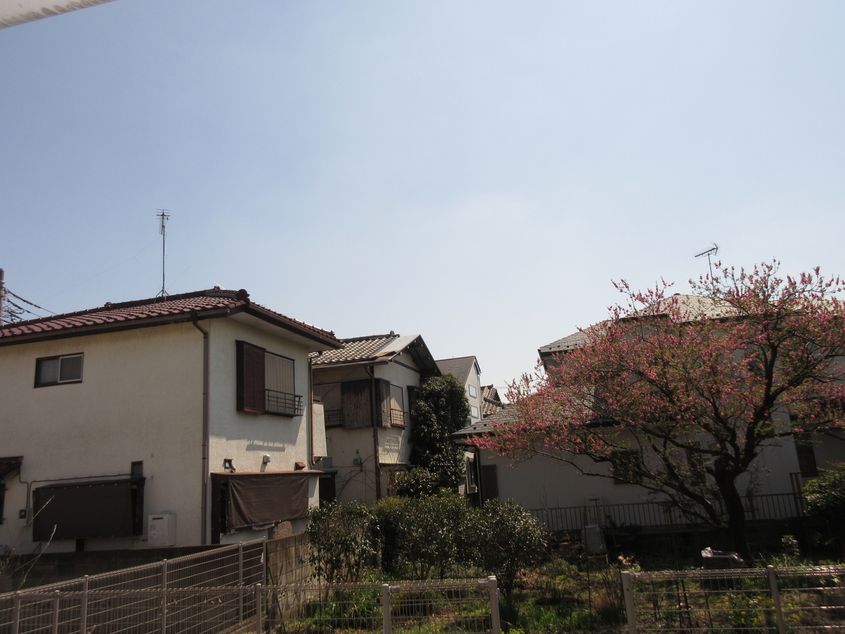 f:id:donkoro:20220324120238j:plain