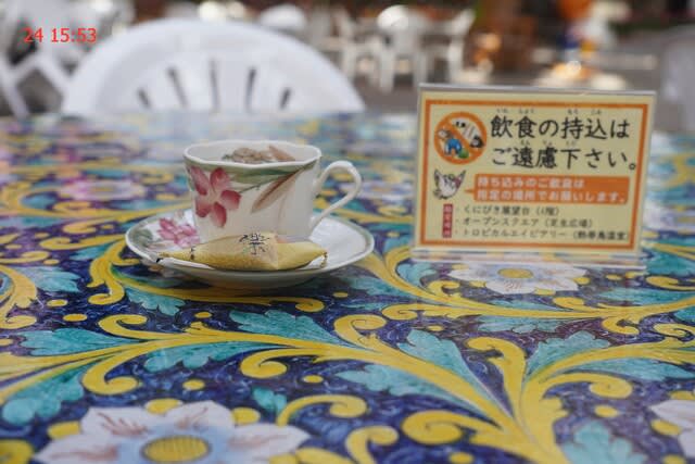 定かではない。 - のんちゃんの気ままな日記