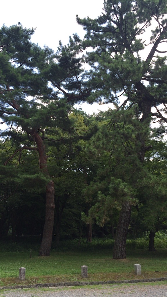 f:id:donotcomemayday:20160801224817j:image f:id:donotcomemayday:20160801224817j:image