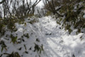 地蔵岳の山道。雪のスロープ