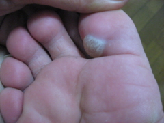 f:id:donpyxxx:20080908221641j:image