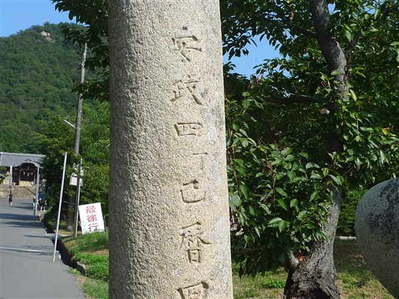 イメージ 4