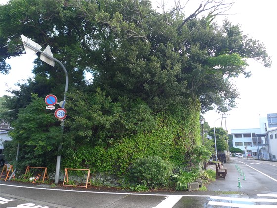 イメージ 2