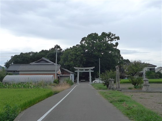 イメージ 6