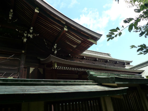 イメージ 5