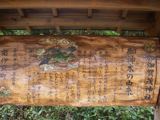 イメージ 15