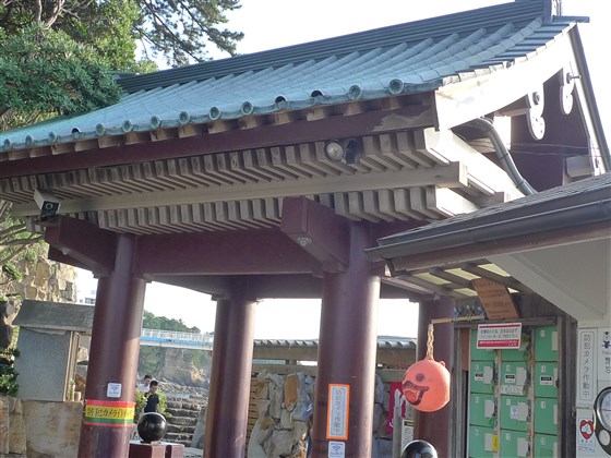 イメージ 3