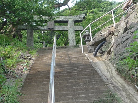 イメージ 7