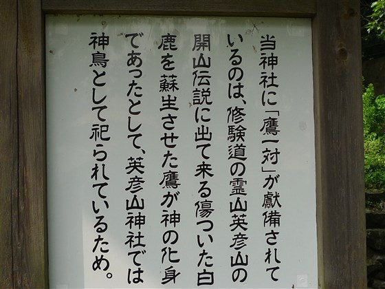 イメージ 13