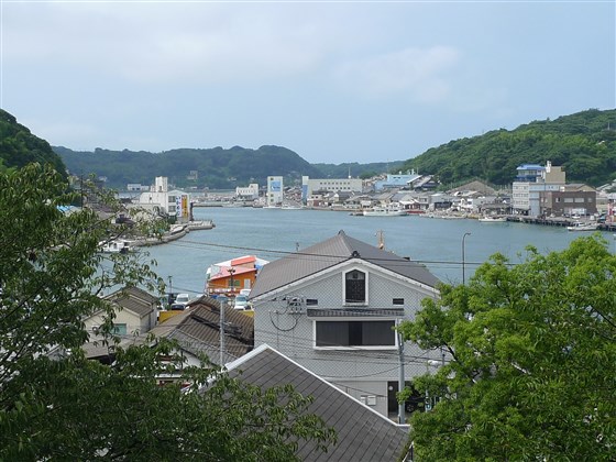 イメージ 5