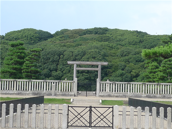 イメージ 6