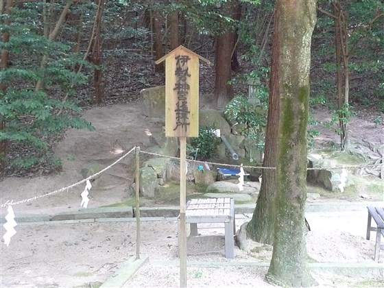イメージ 5