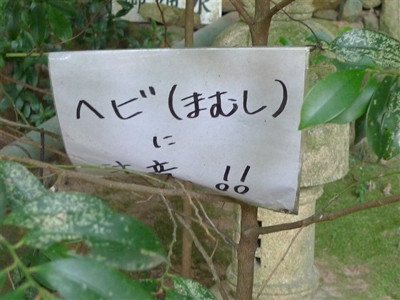イメージ 7