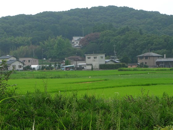 イメージ 8