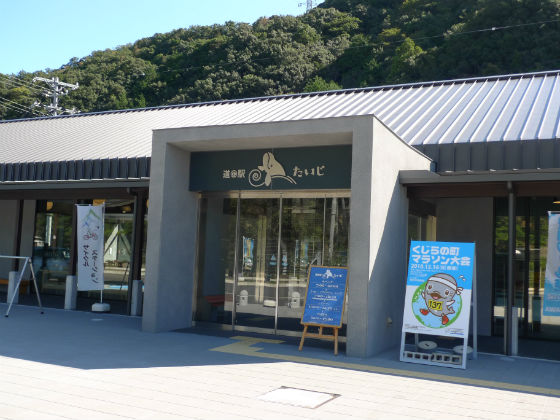 イメージ 5