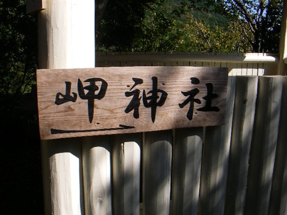 イメージ 8