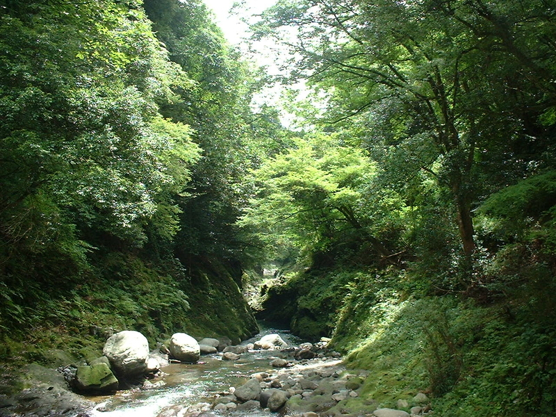イメージ 5