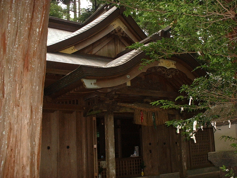 イメージ 6
