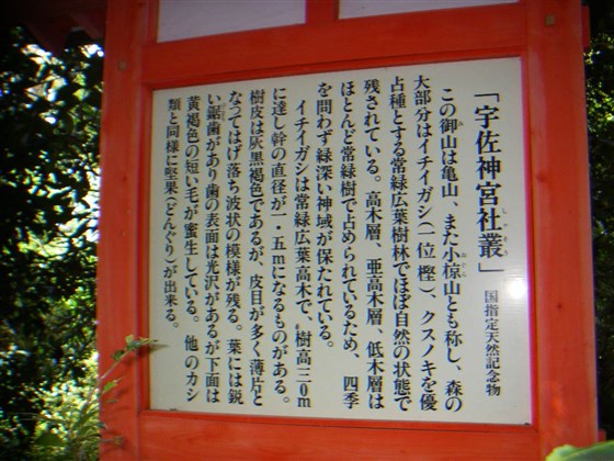 イメージ 11