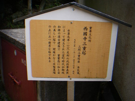 イメージ 9