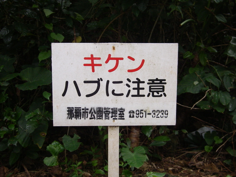 イメージ 6