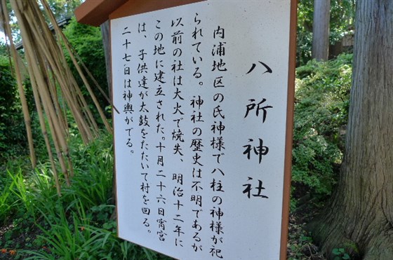 イメージ 8
