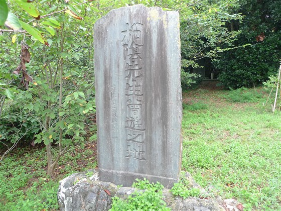 イメージ 4