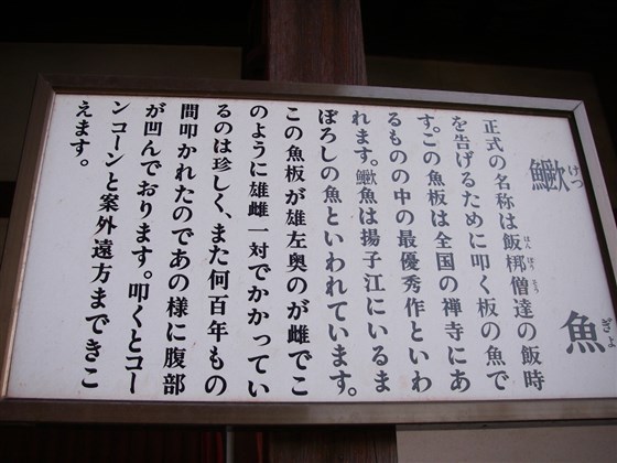 イメージ 17