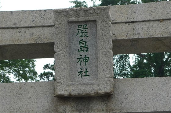 イメージ 8