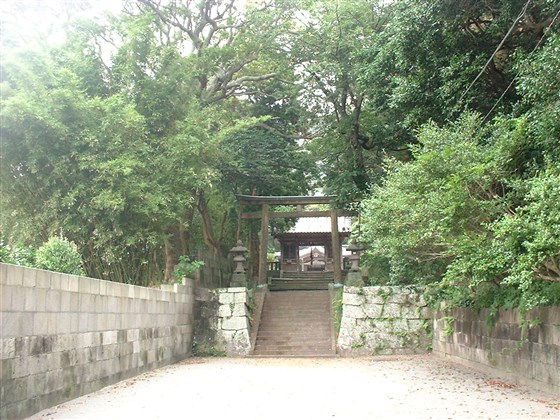 イメージ 10