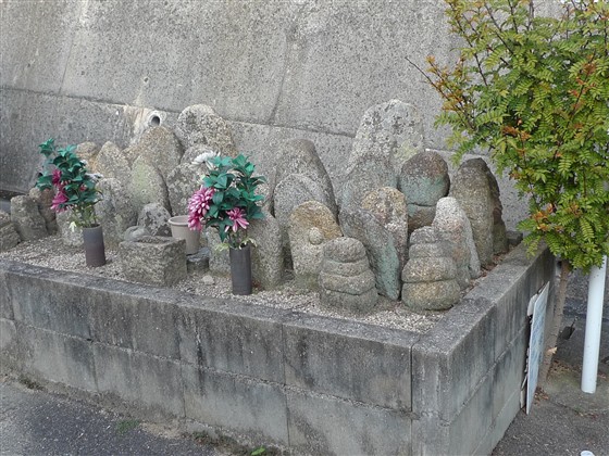 イメージ 4