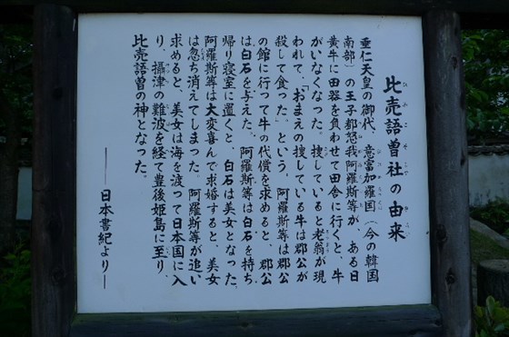 イメージ 5