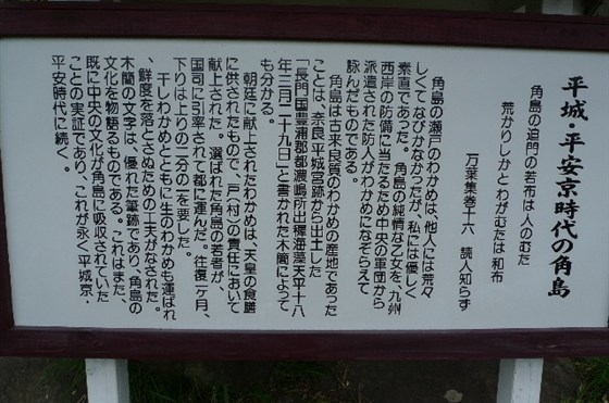 イメージ 8