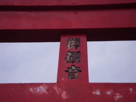 イメージ 7