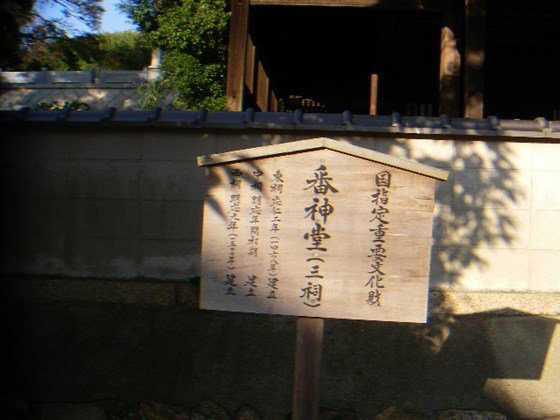 イメージ 19