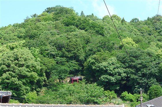 イメージ 13