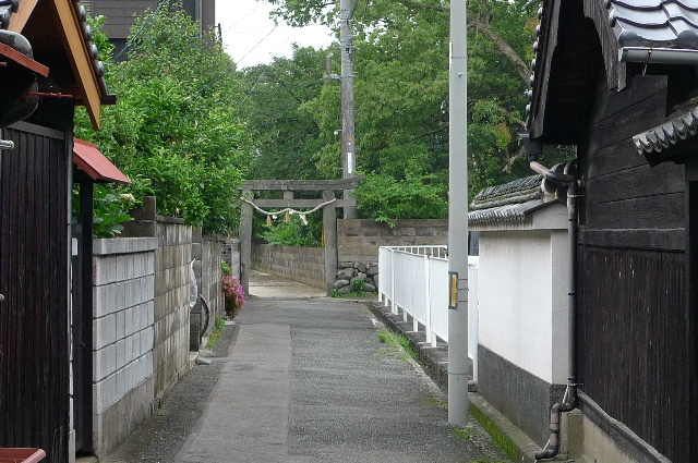 イメージ 3