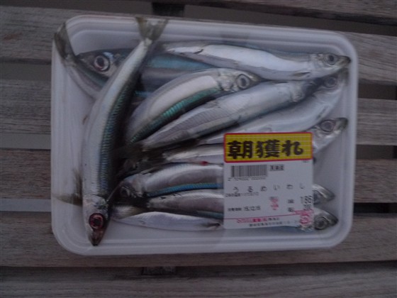 イメージ 2