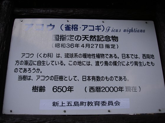 イメージ 10