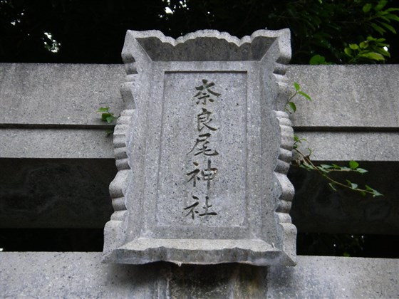 イメージ 4