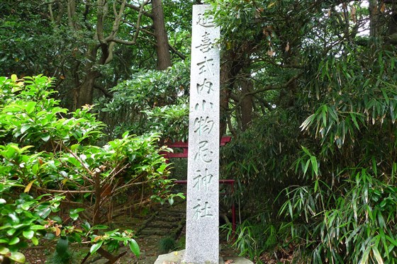 イメージ 5