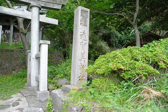 イメージ 7