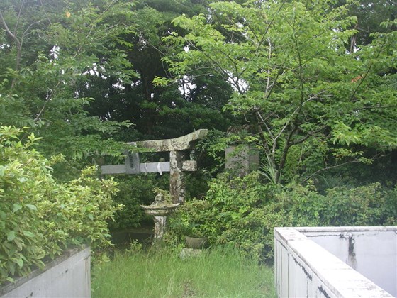 イメージ 9