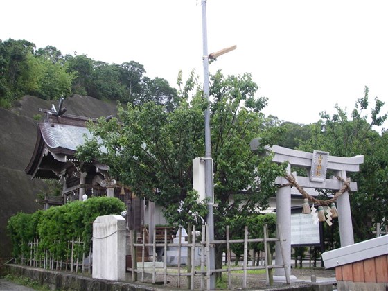 イメージ 10