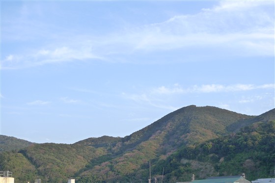 イメージ 3