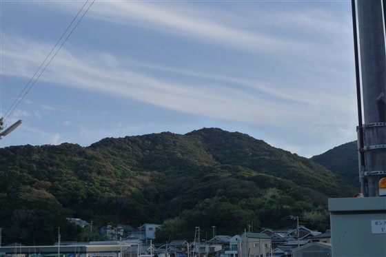 イメージ 5